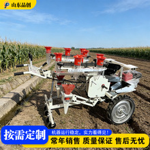 自走式秧苗移栽机 辣椒茄子番茄栽种机械 蔬菜幼苗稳定种植设备