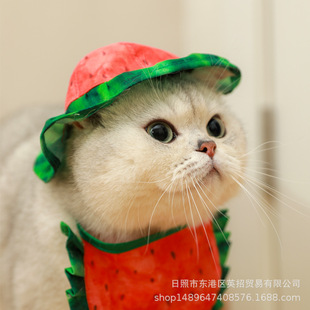 Sun Hat Pet Dress-up Hat Fruit Watermelon Hat Bib Cat Sun Hat Summer Headgear