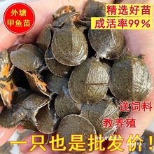 ����~��������l���A�M���~���Bֳ��ˮ�~���r��С���~ˮ�~�F�~��