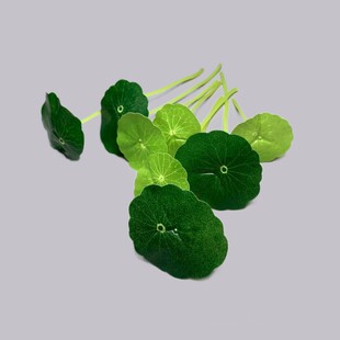 ����С���~�����~�X�݄���Pʽ�廨�N����Ʒ�b͏d�[���ٻ��z��