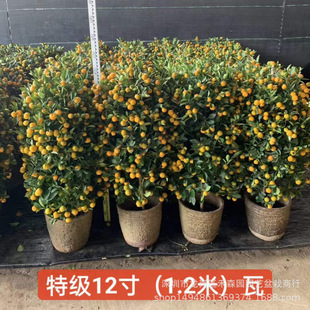 ����ļ���С���ٽ�ۘ����Ԏ����k���ҿ͏d��˾��ؔ�󼪴���ֲ��