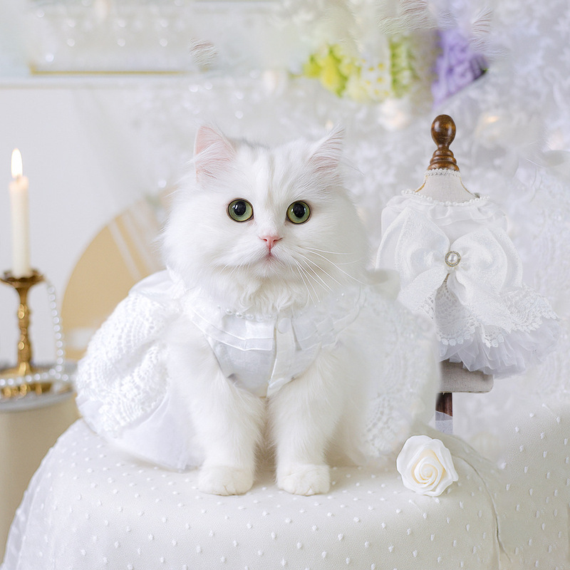 Pet Wedding Outfits, Pet Dresses, Puppy and Cat Clothes, Pet Wedding Dresses, Princess Dresses, Collection of Formal Dresses