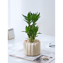 ���F�������Ĳ����k���ҿ͏d�҃ȾGֲ������������������Gֲ����