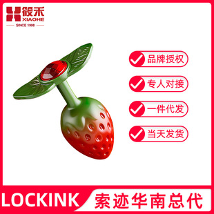LOCKINK���E��ݮ������ͥ���ٸ�����ݮ����sm��Ȥ������Ʒ