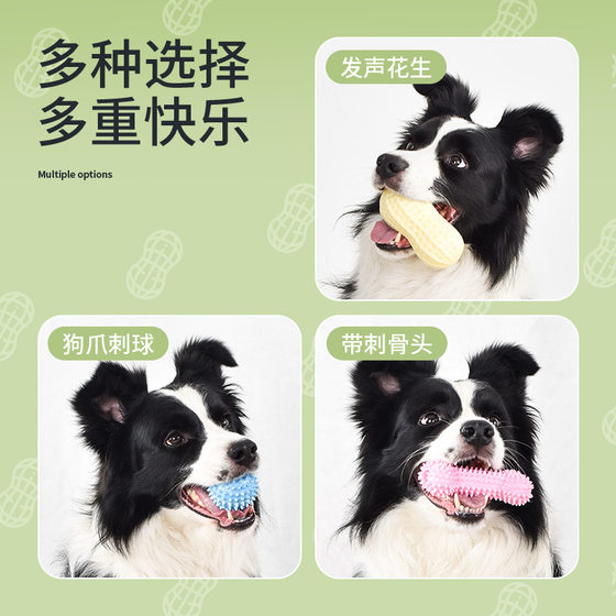 Strict Selection of Cross-border Pet Dog Vocal Toys Peanut Molar Bite-resistant Cote Teddy Chai Dog Small Dog Toy Ball Batch