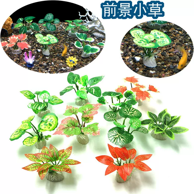 新品上市布艺塑料造景前景水草迷你鱼缸造景小植物水草高度5CM