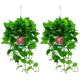 �������ҵ������k�����}���@�k���͏d����ˮ�L���ҾGֲֲ��G�j�B