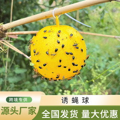 黄球诱蝇球瓜果实蝇柑橘大果实蝇球针锋引诱剂粘虫黄板果园粘胶