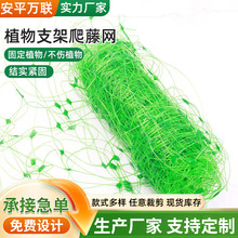 绿色园艺网花卉格子网植物爬藤网百香果架子支架网搭架蔬果网透光