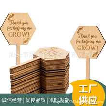 �羳���ԾGֲ���Lľ�Ʋ��� DIY�����ӛ�ƻ��ܲ��� �����̈D��