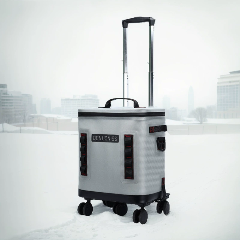 Suitcase, capacious universal cooler bag, removable picnic bag