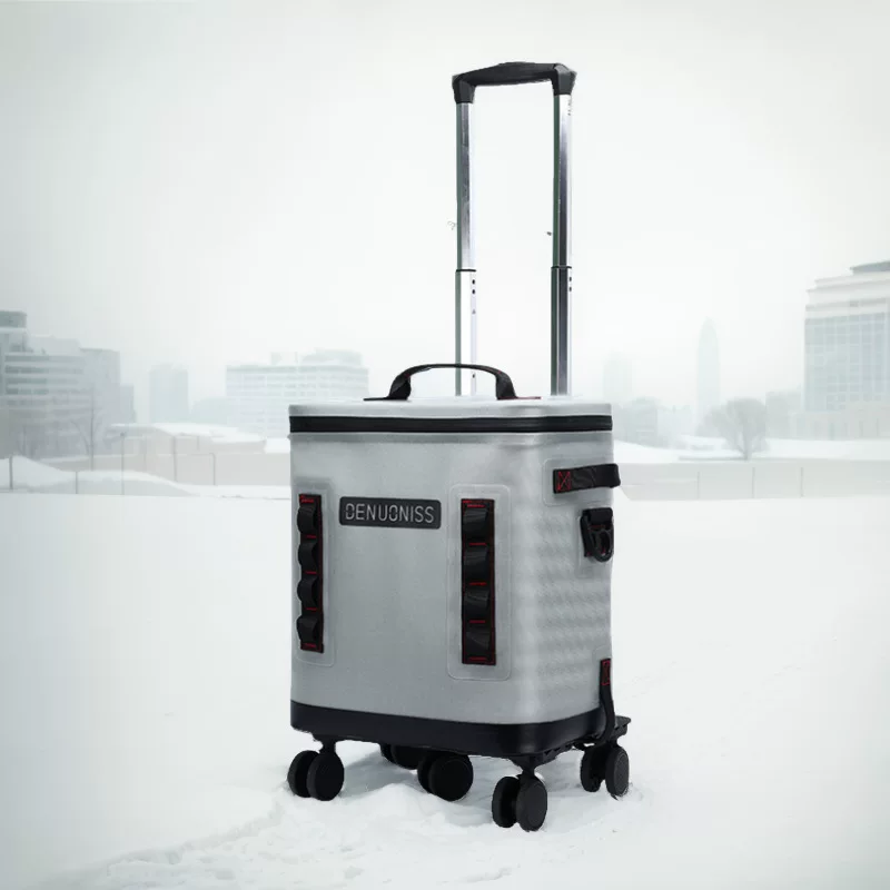 Suitcase, capacious universal cooler bag, removable picnic bag