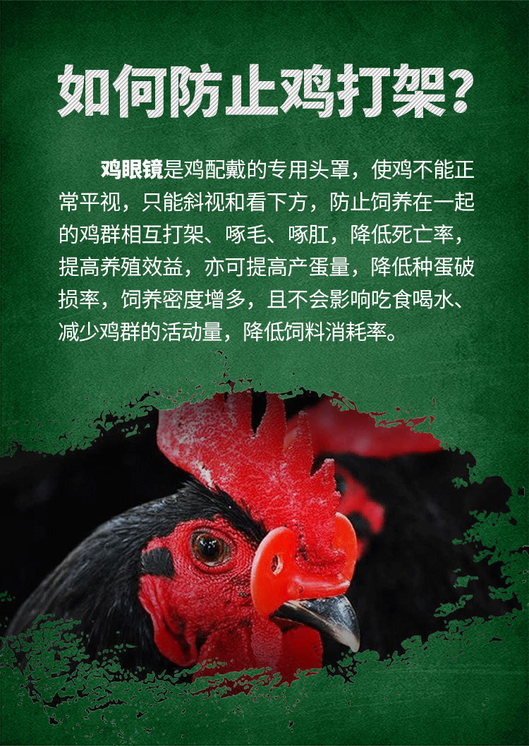 详情1_01.jpg