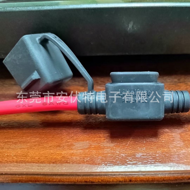 FHJC1002G线束配套0495保险丝 (1).jpg