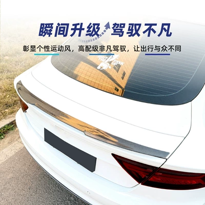Wing, Roof Wing, Spoiler, Wind – Fixed wind wing