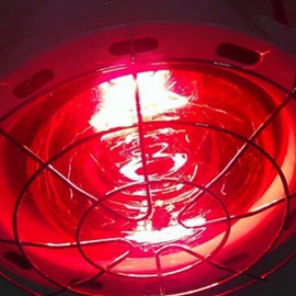 放大镜;其他美容仪器;支架