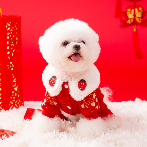 Autumn and winter dog strawberry doll collar embroidered New Year four-legged Tang suit cat warm thickened cotton coat pet clothes