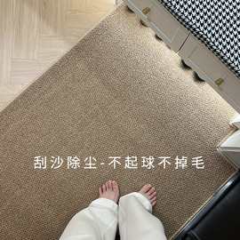 入户门地垫仿剑麻防猫抓客厅地毯门垫家用进门玄关门外脚垫可裁剪