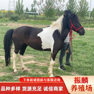 Ůʿ�T���R���^�������䰫�RӖ�õĜ�Ѫ�R���R�������Rƥ�Z�B