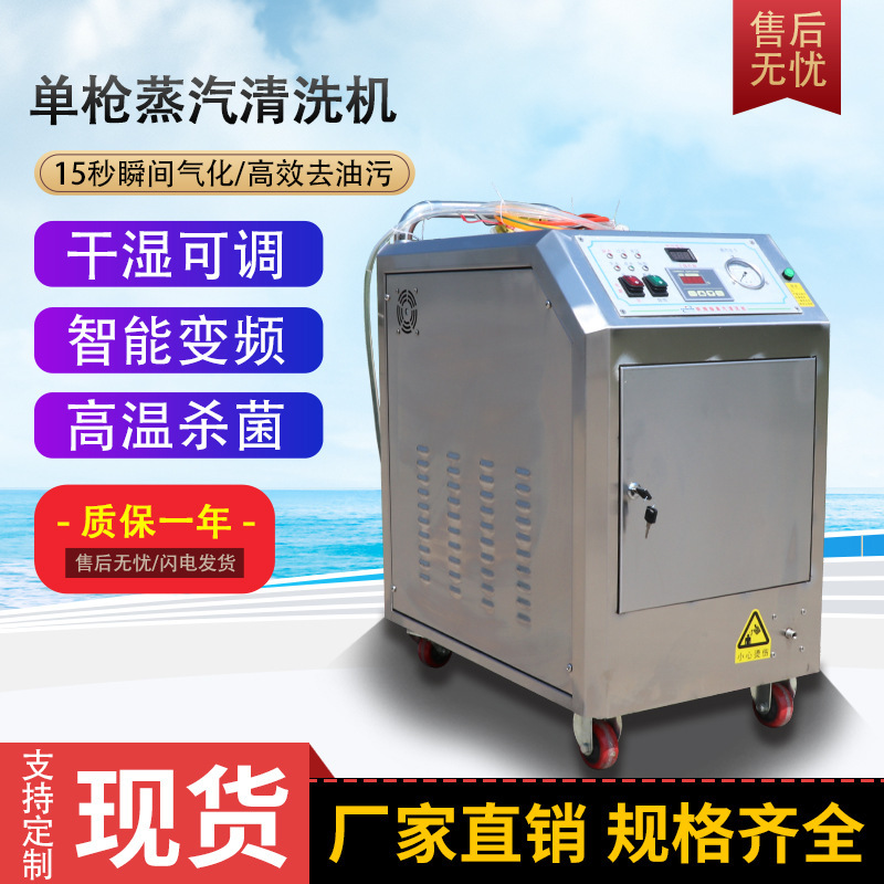 Single-gun gas-fired steam car washer removable high-temperature and high-pressure washer portable vehicle-mounted multifunctional car washer