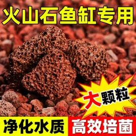 栽培基质;园艺灌溉工具;园艺工具