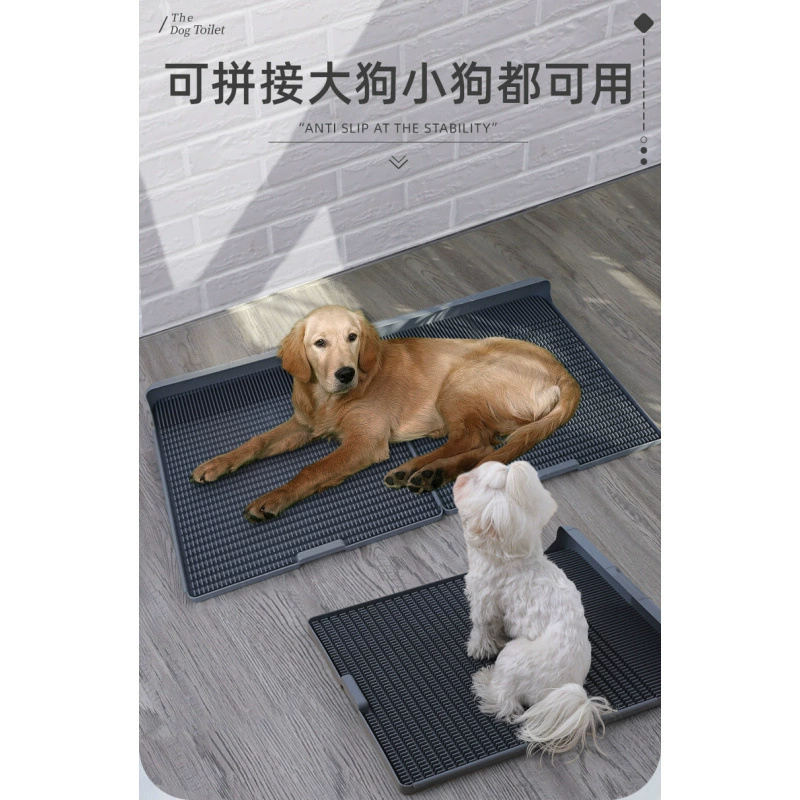 Большая собака туалет может быть смыта золотистым ретривером Тедиби медведем