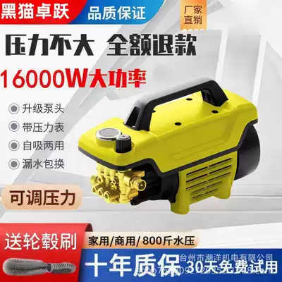 Ultra High Pressure 220V Household Portable Car Washer High Power Portable Cleaning Machine Automatic Car Wash Artifact Water Gun