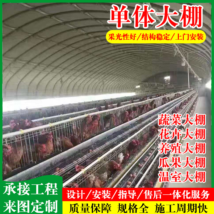 养殖大棚安装 鸡舍养猪场暖棚棚 全套椭圆管搭建插地大棚安装