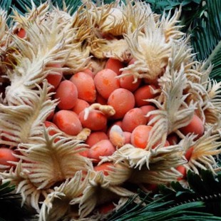 ���l�F��N���²����K�F���F������ֲ��N���̨ͥԺ�����ļ����G