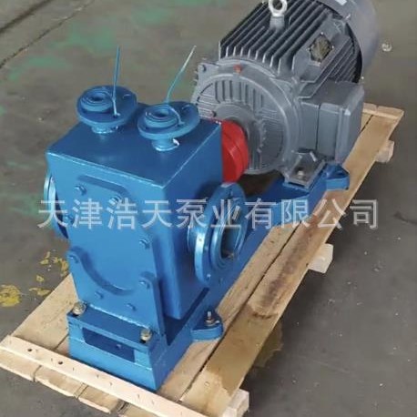 高温齿轮泵TDCG 沥青 柴油 机油润滑油 液压油 胶水 聚氨酯齿轮泵