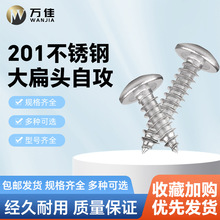 201不锈钢大扁头自攻螺丝十字槽大圆头自攻钉M3M4M5M6