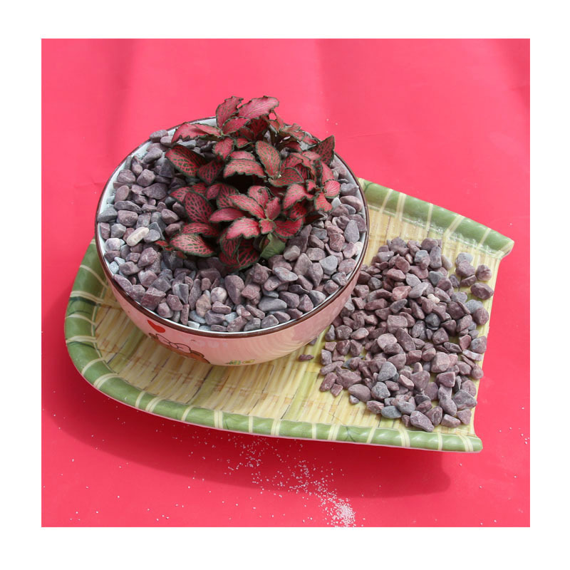 Ȼɽˮרˮϴʯ|A԰׻ҺڽʯʽͥԺ쾰