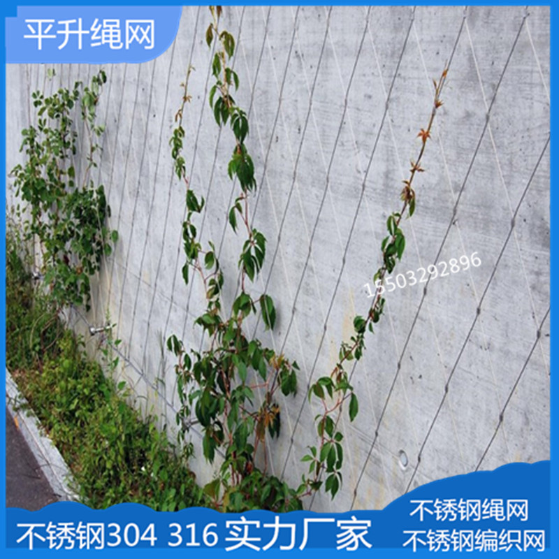 不锈钢绳网植物爬墙 编织藤蔓绳网 建筑安全防护网 绿植攀爬网