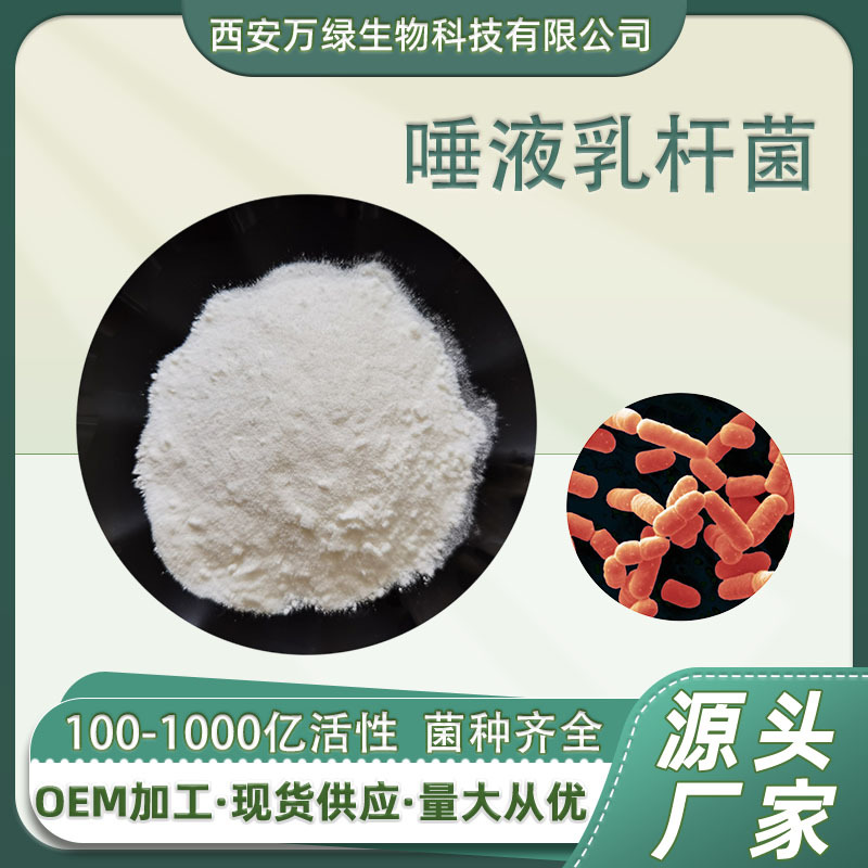 唾液乳杆菌100亿/g 食品级活性益生菌粉 乳酸菌冻干粉 多规格