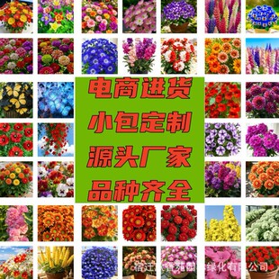 ���÷N��С���b�M�ϴ��l�ļ�ͨ���׷N��ͥ�@ˇ���N�ӏS���̨����