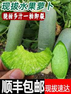 ˮ���}�����ˮ������S���]�H���}���H�hɳ�����}��10�����r����