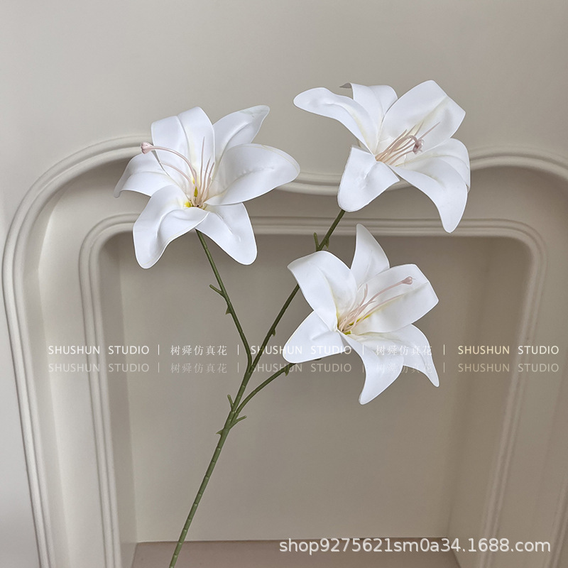 Lirio de película de 3 cabezas - Blanco puro