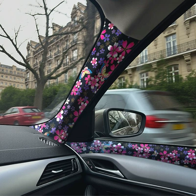 Car Interiors, Car interior film