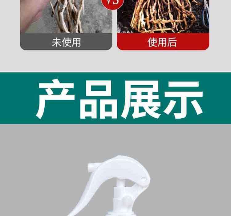 e20f695a-844f-43b0-9960-480a1097e980.jpe