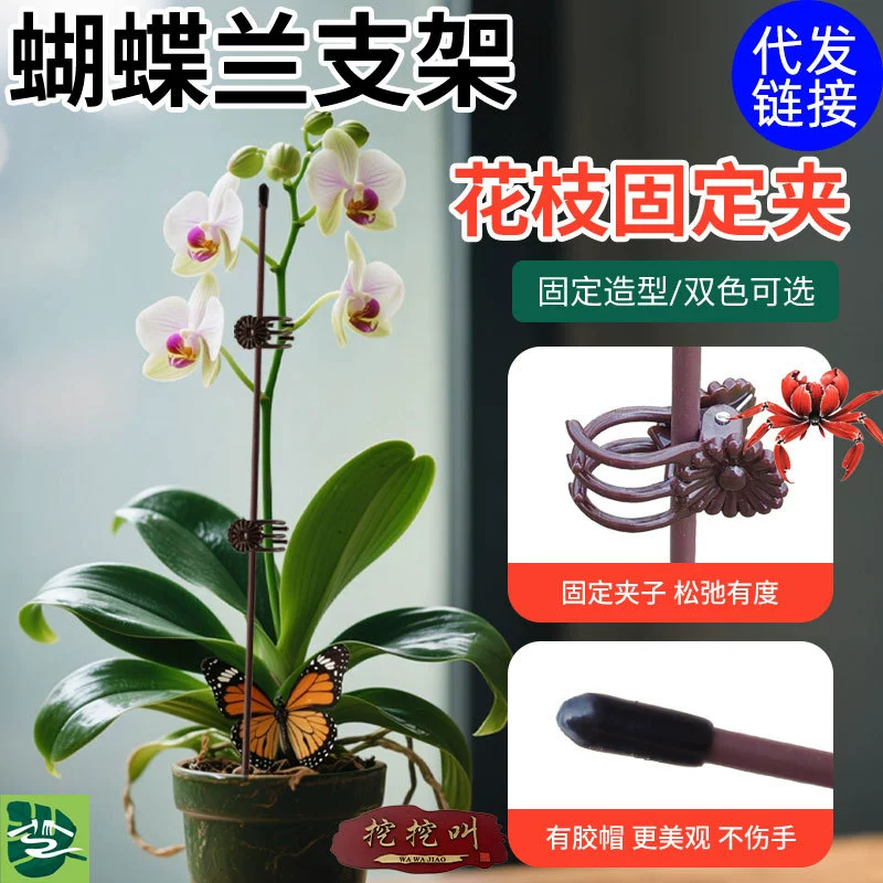 Подставка для фаленопсиса, опорный стержень с зажимом для цветов, стойка для лоз, железная проволока, садоводство, фиксированное растение в горшке