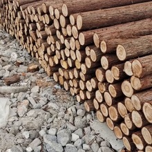 广西柳州河道打桩木河岸防护抗压性好增强河岸稳定性耐磨本地直发