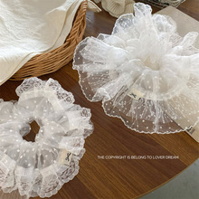 �n��ins�¿��ɫ�ٽz���c������c�lȦ �r�и߼��|���^ٴ�l�