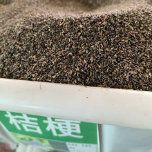 �۹����N���ļ��׷N�̨���Ի��Ѷ���������ͥԺ���^�������N��