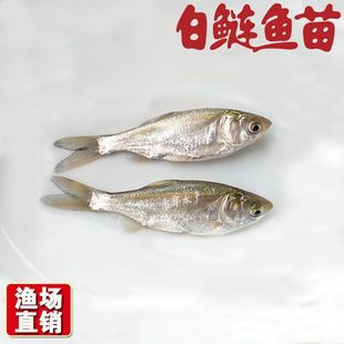 �����~�����Iˮ���������ӻ����~�絭ˮ�~����w���~���~�Ĵ���~