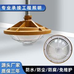 跨境防水防尘防腐车间仓库三防工业照明厂房灯led工矿灯防爆灯