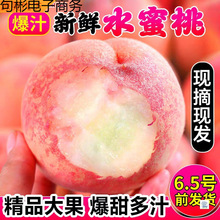 �F؛����ˮ�������rˮ������ë�ҬFժ�����r��ˮ�����r���Ұ��]