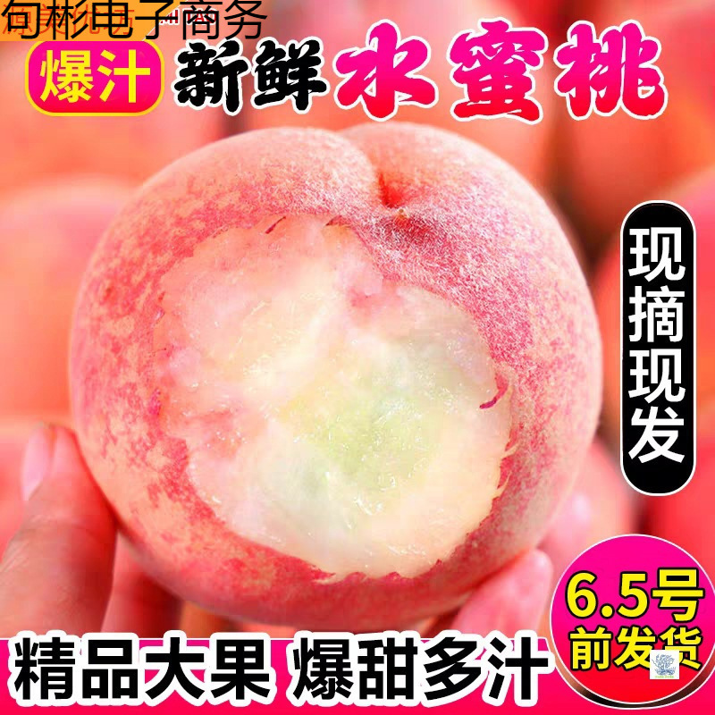 现货脆甜水蜜桃新鲜水果桃子毛桃现摘当季时令水果新鲜脆桃包邮