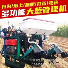 新式多功能乘坐式大葱管理机开沟培土打药施肥收获农用一体机