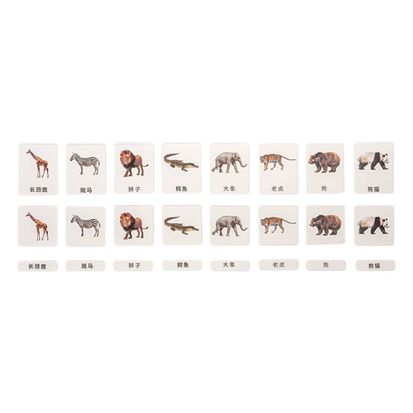 Complete set of wild animals (8 kinds of animals. Maximum card size 11.5*9)