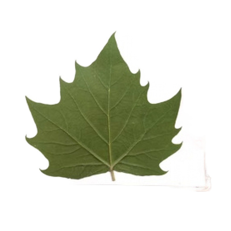 Este no se entrega, gran cantidad de servicio al cliente de contacto preferencial